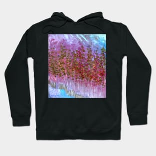 Aspens in Mist Hoodie